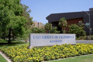 Worst Colleges For African American Students In The US (2023)