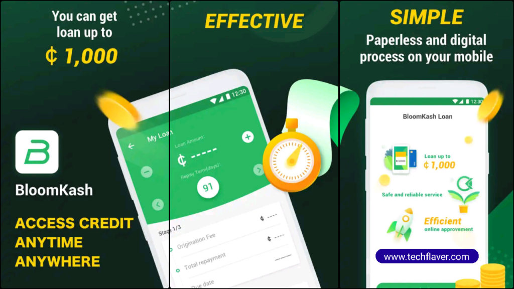 Bloomkash Loan App
