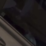 The car inside video trending