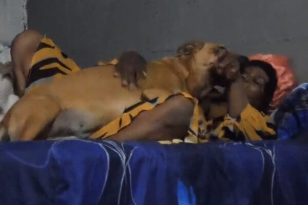 Woman and dog video