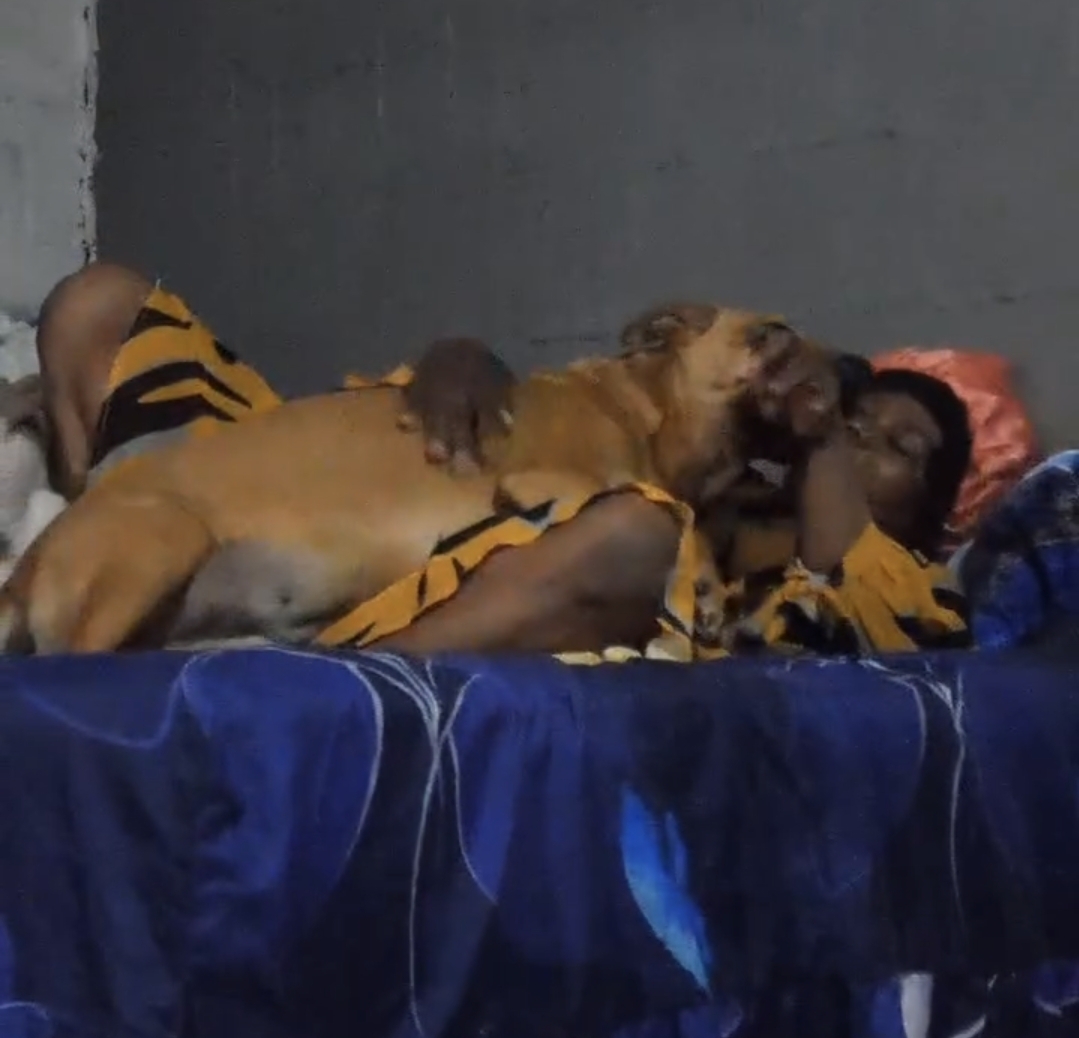 Woman and dog video